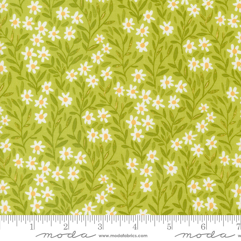 1 Canoe 2 Moda Fabrics Kindred Daisy Meadow 3607315