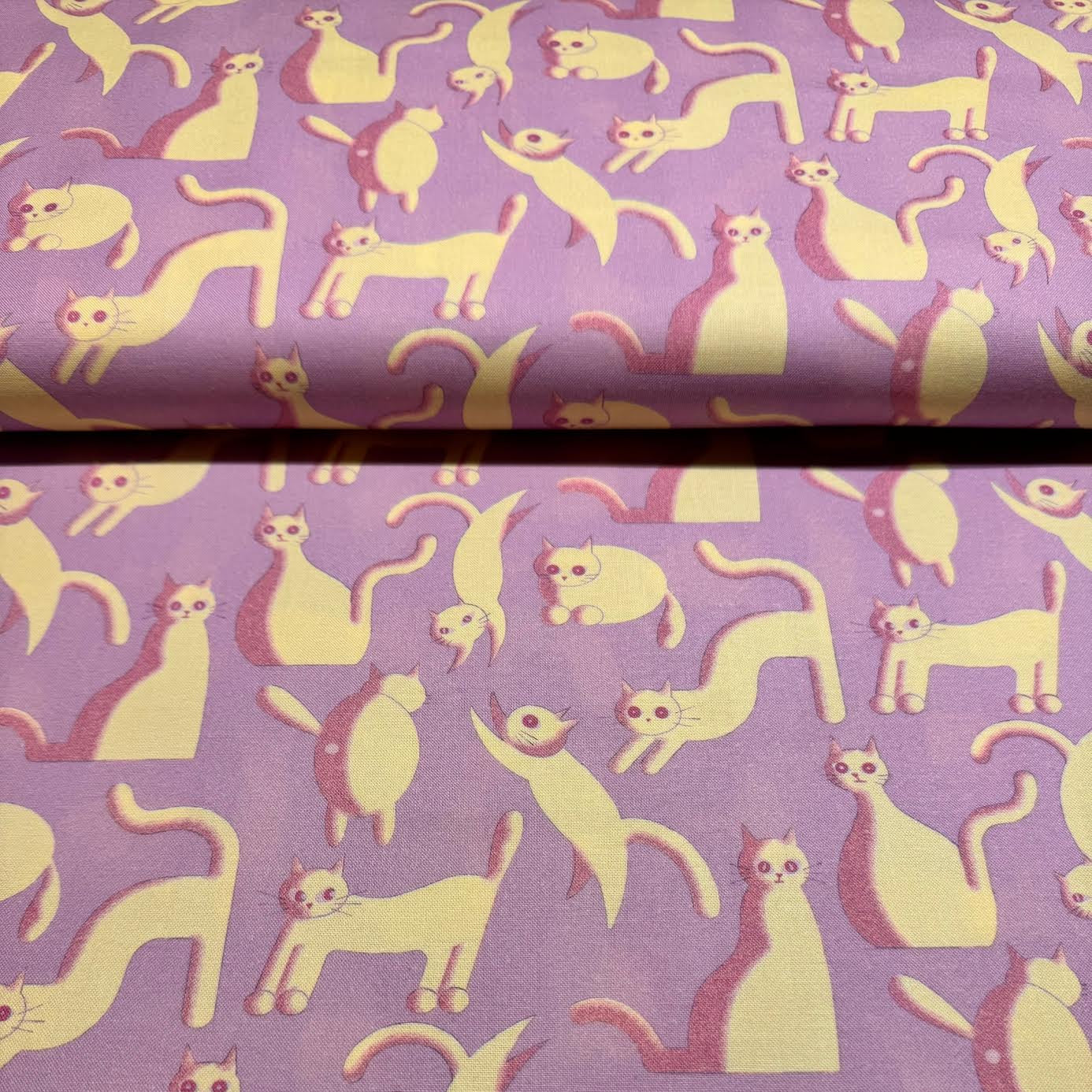 3D Cats Nora Japan Japanese Import ST1541-C