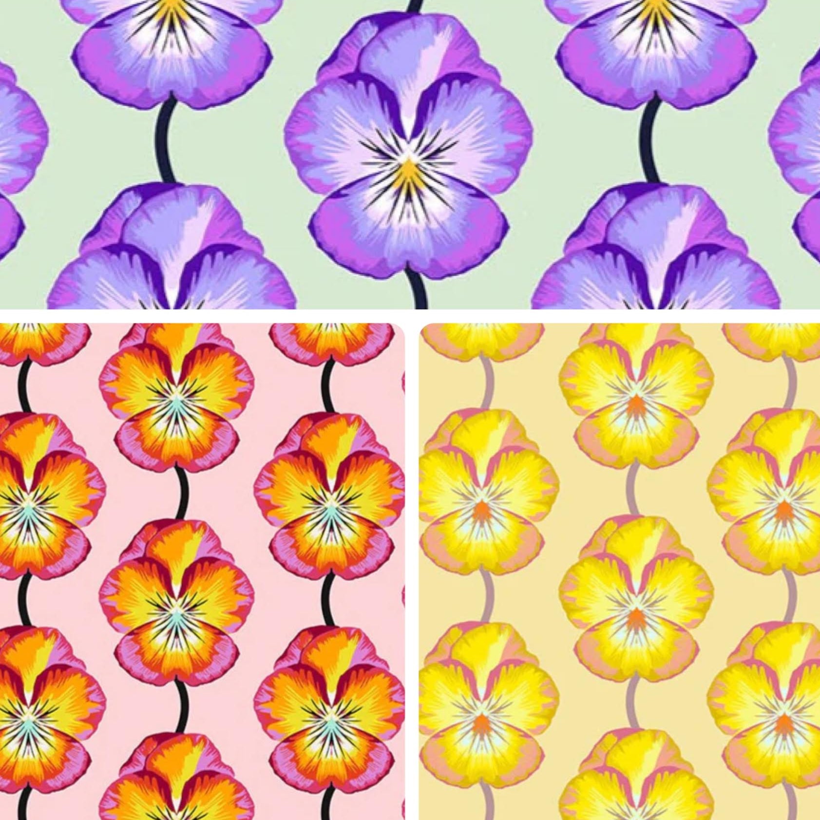 Anna Maria Horner Parry Anna Maria Textiles for Northcott Fabrics Iconic Pansy Fat Quarter Bundle