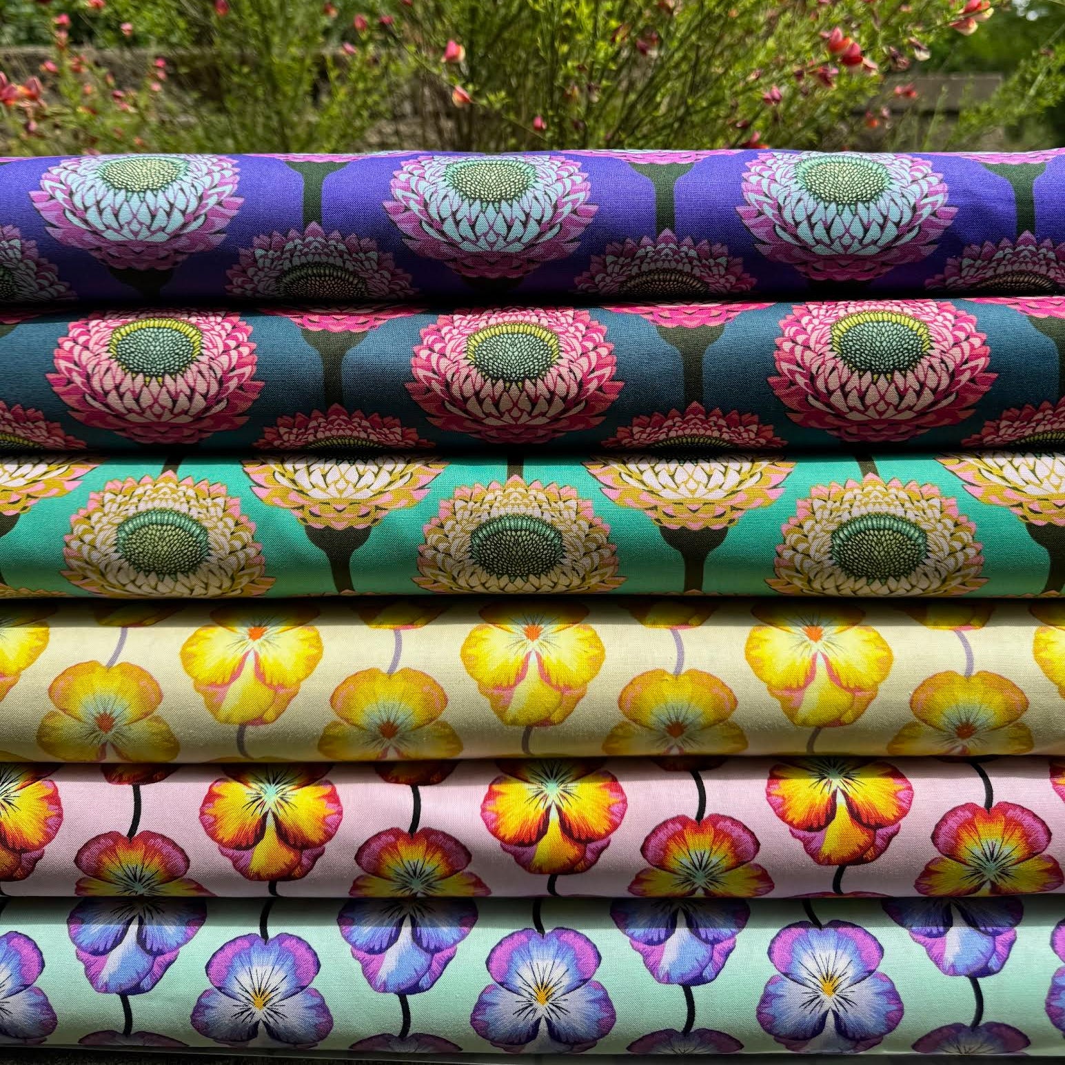 Anna Maria Horner Parry Anna Maria Textiles for Northcott Fabrics Iconic Pansy Muted AMT124-52V