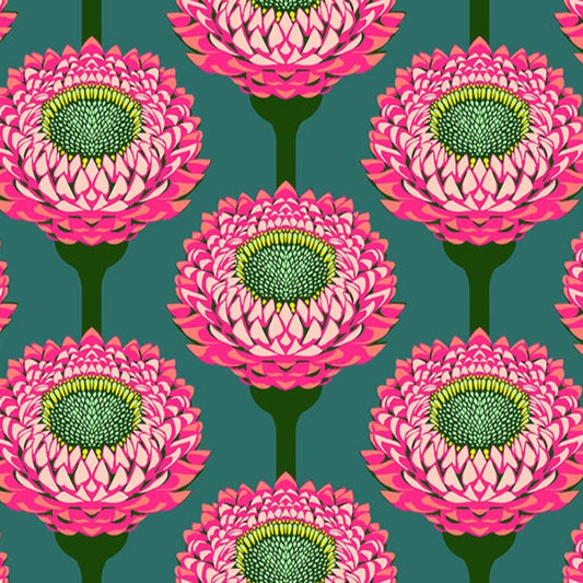 Anna Maria Horner Parry Anna Maria Textiles for Northcott Fabrics Iconic Strawflower Bursting AMT123-28L