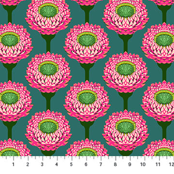 Anna Maria Horner Parry Anna Maria Textiles for Northcott Fabrics Iconic Strawflower Bursting AMT123-28L