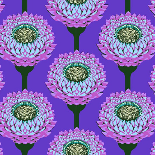 Anna Maria Horner Parry Anna Maria Textiles for Northcott Fabrics Iconic Strawflower Periwinkle AMT123-63C