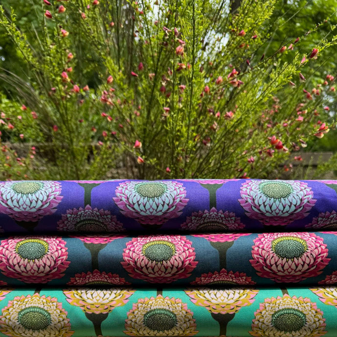 Anna Maria Horner Parry Anna Maria Textiles for Northcott Fabrics Iconic Strawflower Periwinkle AMT123-63C