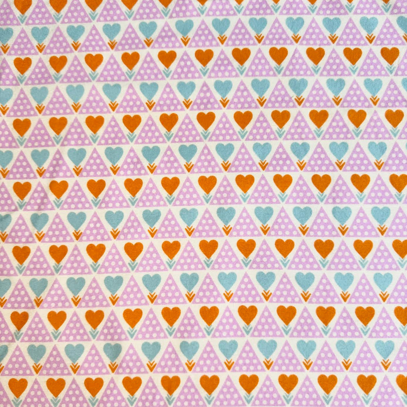 Anna Maria Horner Parry FreeSpirit Westminster Fibers Pretty Potent Family Unit Powder Flannel FAAH018