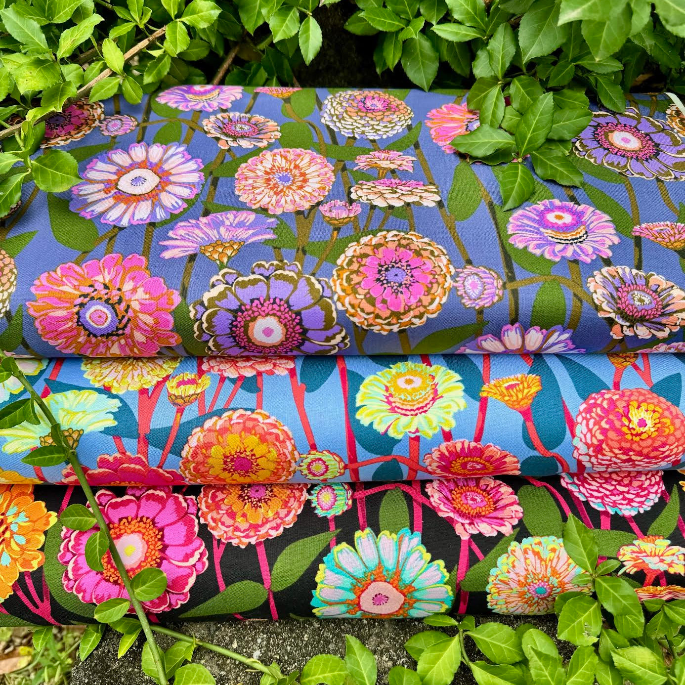 Anna Maria Textiles Northcott Fabrics Jumpstart Zinnia Show