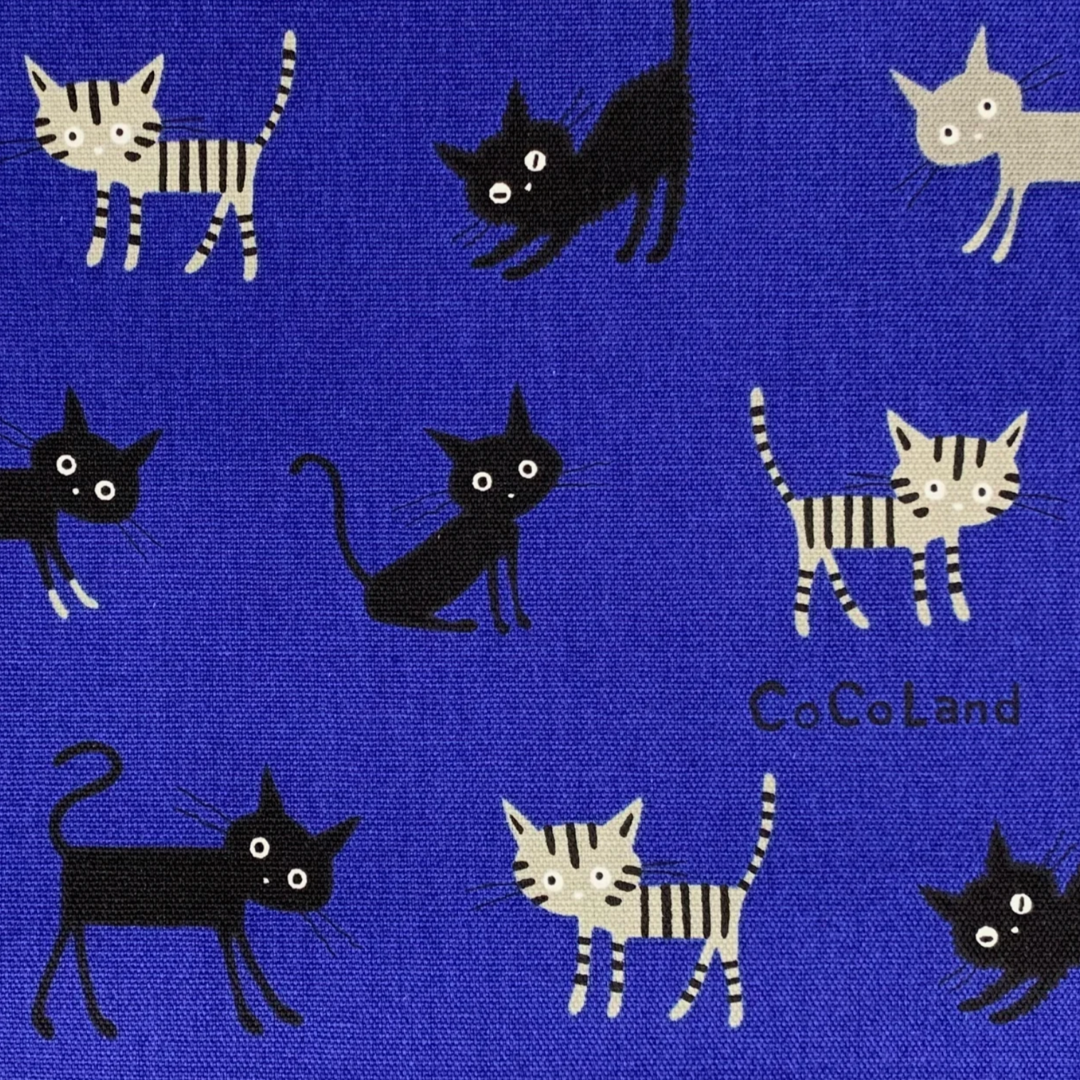 Hishiei CO-10002-2C CoCoLand Medium Cats Blue