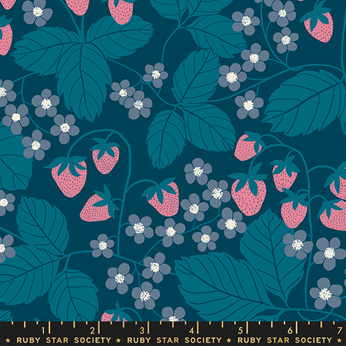 Jen Hewett Ruby Star Society Moda Fabrics RS6054 16 Galaxy