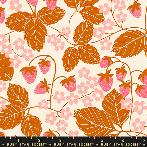 Jen Hewett Ruby Star Society Moda Fabrics Reimagined Landscapes Strawberry Field RS6054 11 Bashful
