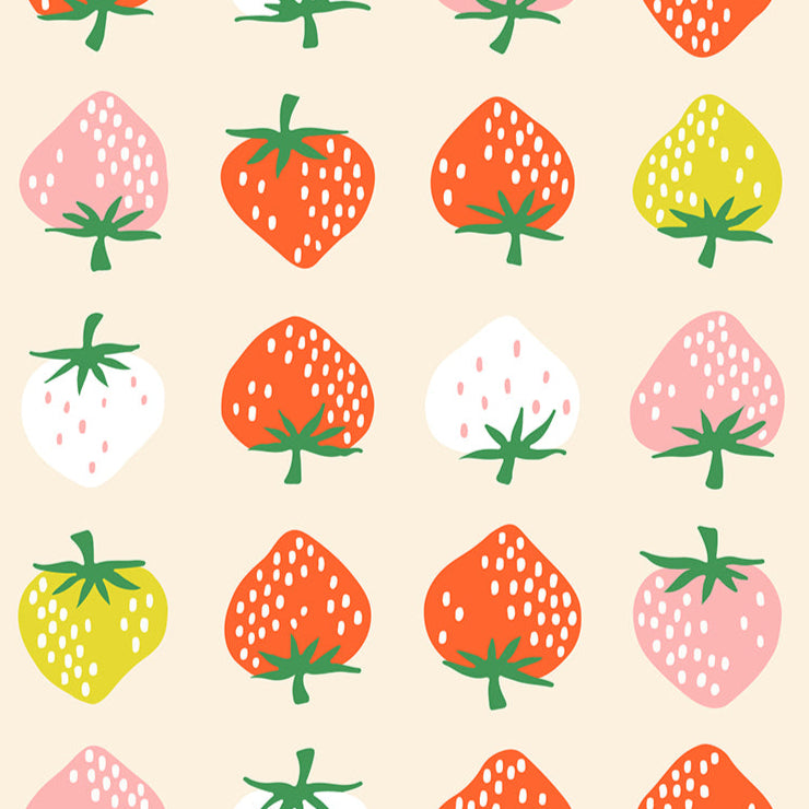Kimberly_Kight_Ruby_Star_Society_Moda_Fabrics_Strawberry_RS3085_11 Shell
