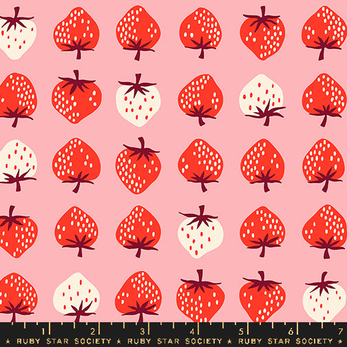 Kimberly_Kight_Ruby_Star_Society_Moda_Fabrics_Strawberry_RS3085_13 Balmy
