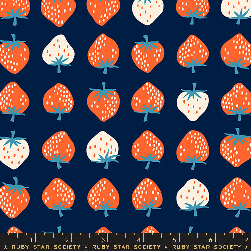 Kimberly_Kight_Ruby_Star_Society_Moda_Fabrics_Strawberry_RS3085_23 Navy