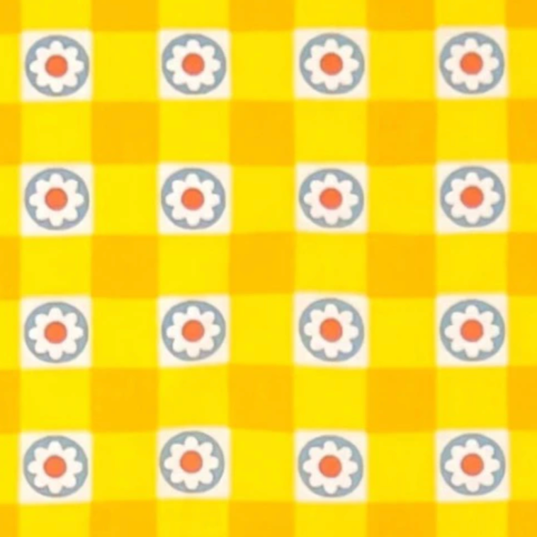 Koko Seki 70s Design Flower Days Gingham Japanese Import CHU055R