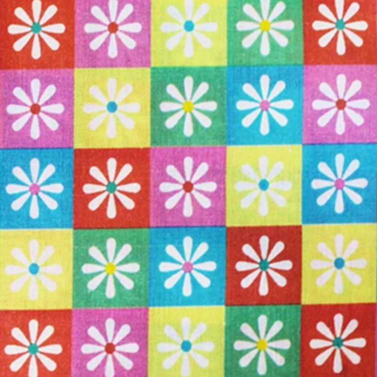 Little Johnny Checkered Daisy 3567