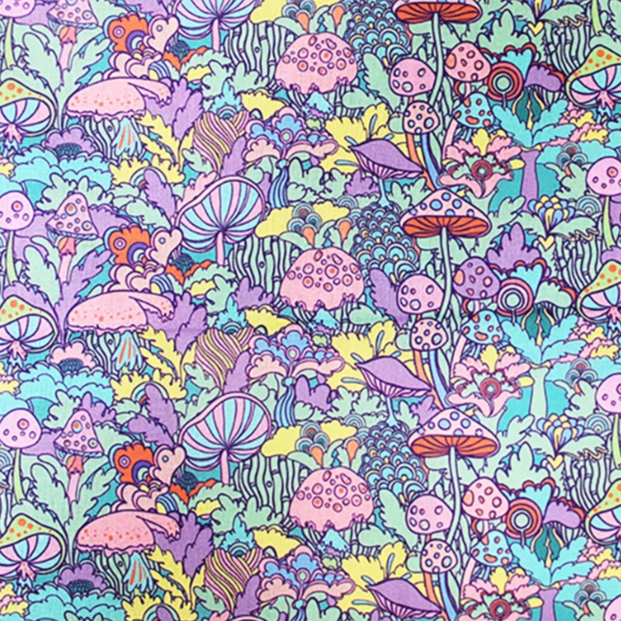 Little Johnny Retro Mushrooms European Import 3678