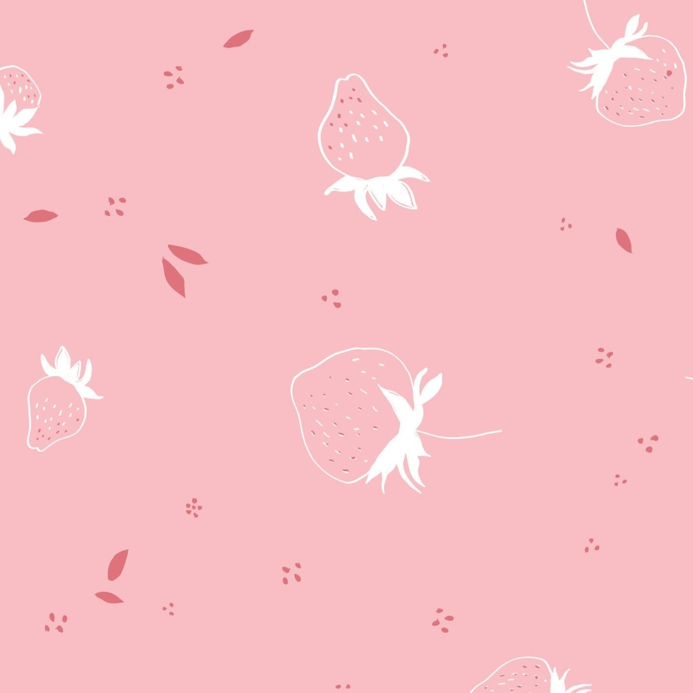 Minki Kim Riley Blake Designs BloomBerry Berry Sprouts C14603-PINK