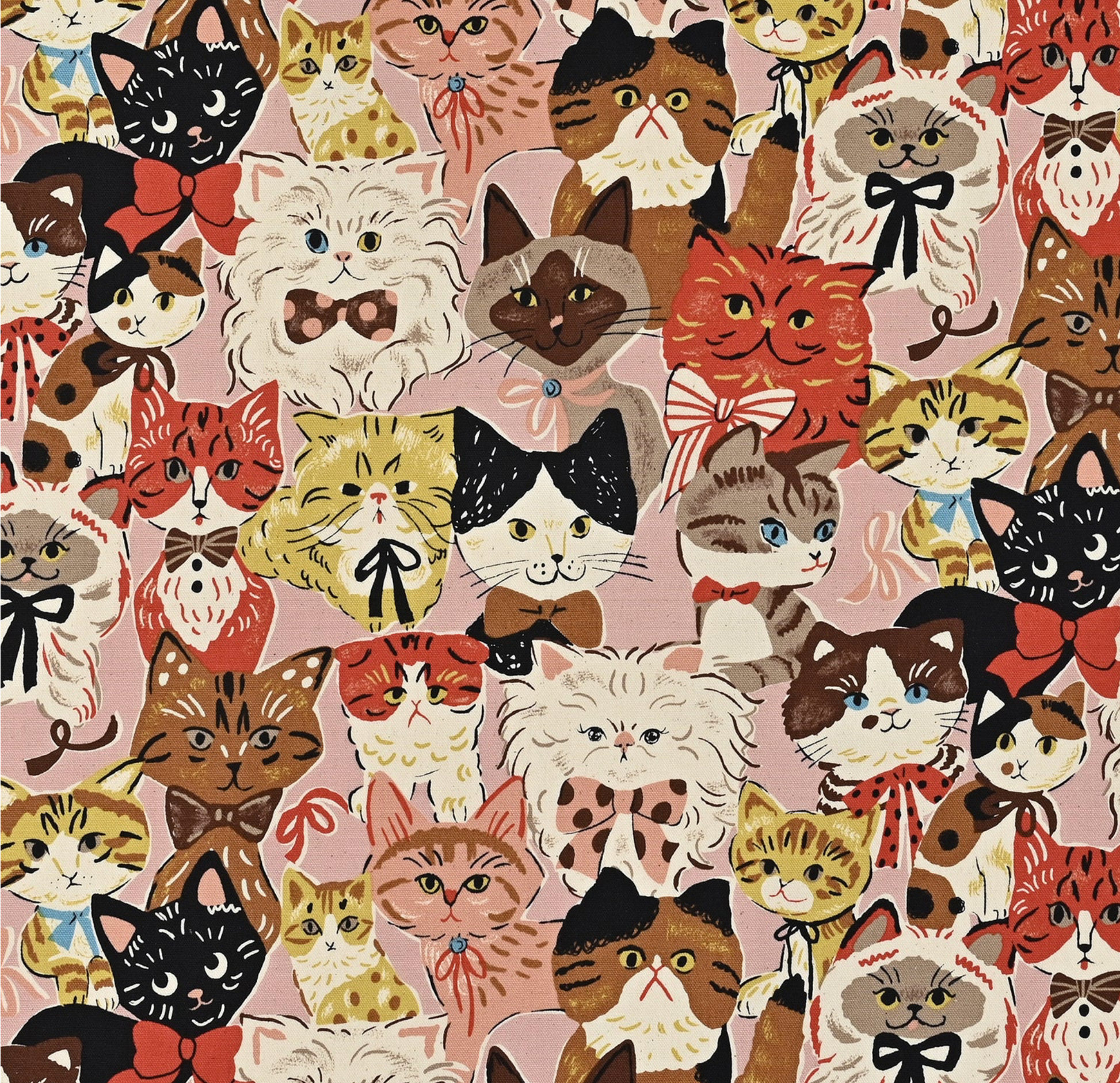 Powerful Animal Cats Retro Oxford YGA-76080-1 Pink