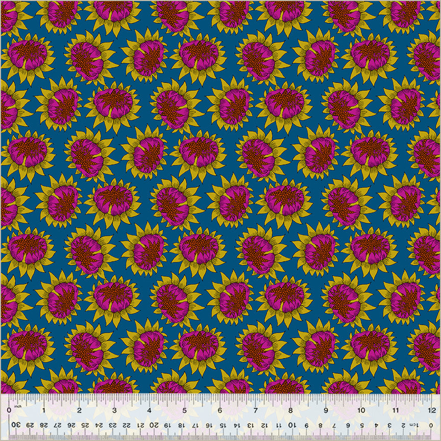 Sally_Kelly_Twilight_Sunny_Royal_Windham