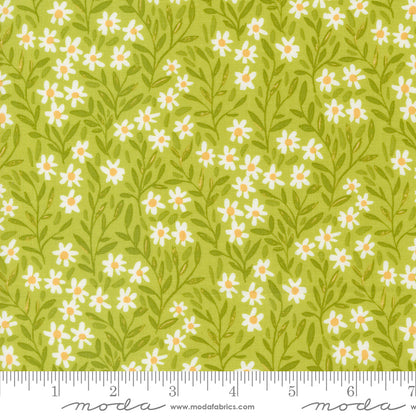 1 Canoe 2 Moda Fabrics Kindred Daisy Meadow 3607315