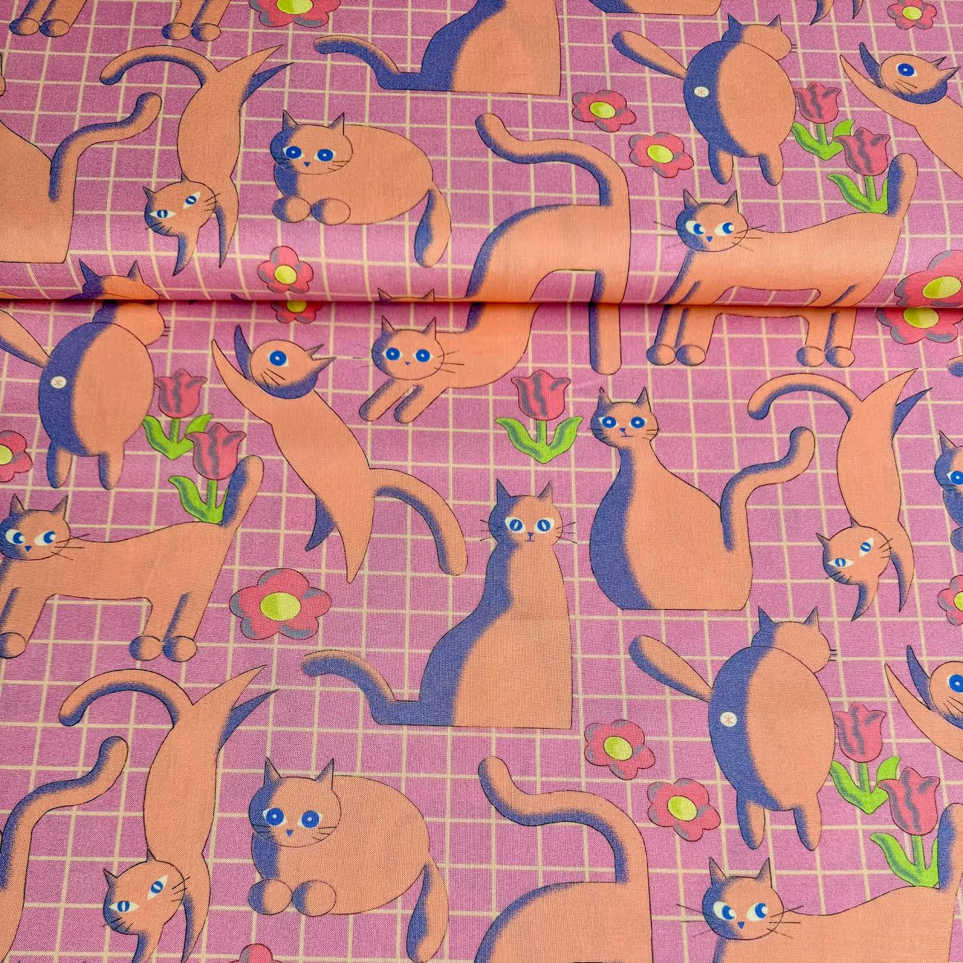 3D Cats Geometric Nora Japan Moelan Studio Japanese Import ST1540-A