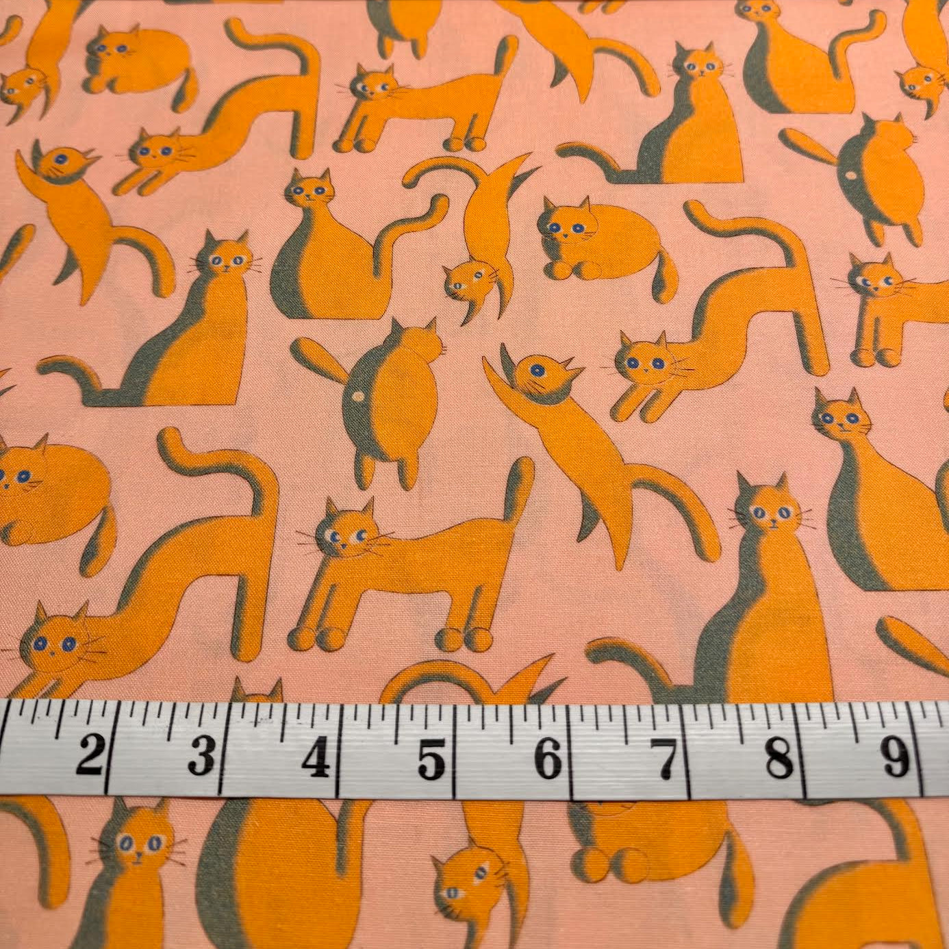 3D Cats Nora Japan Japanese Import ST1541-B