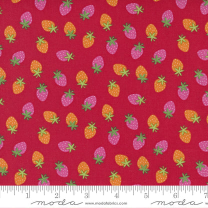 Abi Hall Moda Fabrics Rainbow Garden Merry Berry Apple 3536517