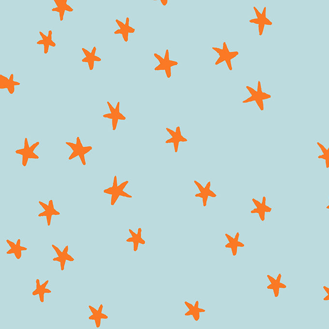 Alexia_Abegg_Moda_Fabrics_Ruby_Star_Society_New_Starry_Polar_RS4109_83