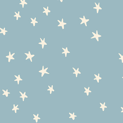 Alexia_Abegg_Moda_Fabrics_Ruby_Star_Society_New_Starry_Soft Blue_RS4109_84