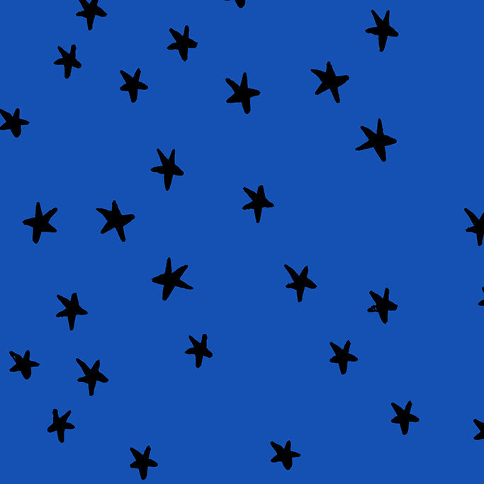 Alexia_Abegg_Moda_Fabrics_Ruby_Star_Society_Starry_RS4109_44 Blue Ribbon