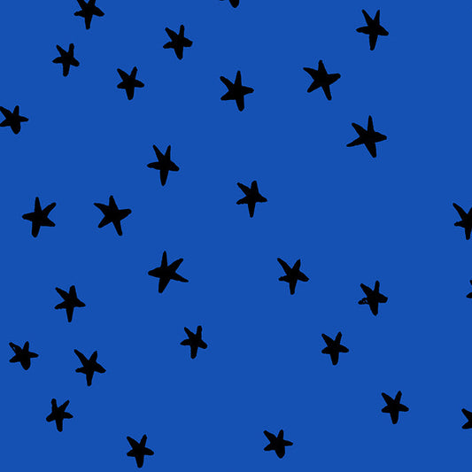 Alexia_Abegg_Moda_Fabrics_Ruby_Star_Society_Starry_RS4109_44 Blue Ribbon