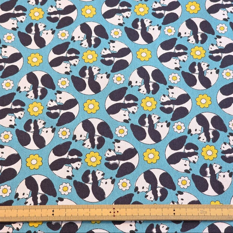 Anyan Yuwa Japanese Fabrics Goro Koro Panda Oxford CO-159220-A Blue