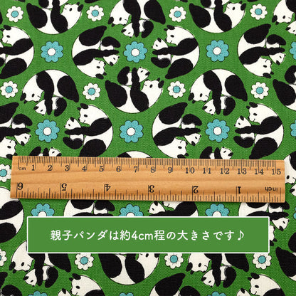 Anyan Yuwa Japanese Fabrics Goro Koro Panda Oxford CO-159220-C Green