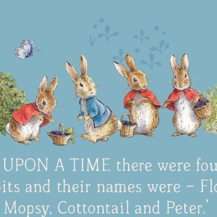 Beatrix Potter Riley Blake Designs The Tale of Peter Rabbit Text C14701-BLUE 