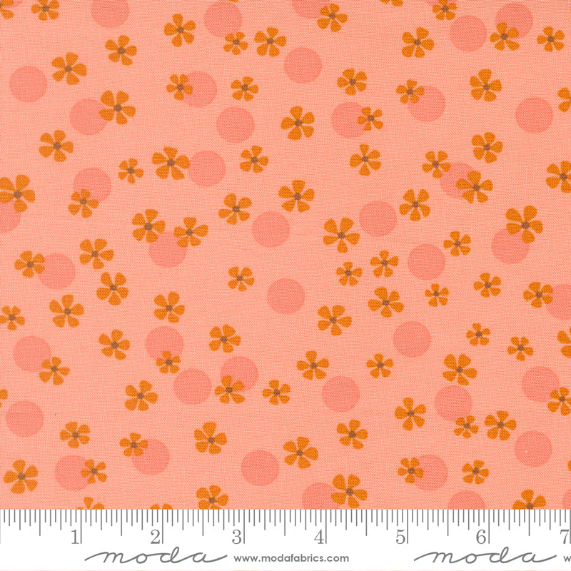 Chloe's Closet Moda Fabrics Easy Breezy 3384212 Buggleum