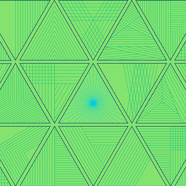 Giucy Giuce Andover Fabrics 40 Triangula A-1391-G Goosebumps