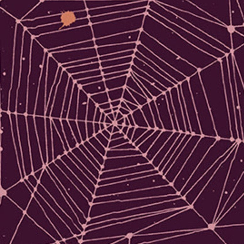 Giucy Giuce Andover Fabrics Fabric From The Basement Web A-457-P Ensnare