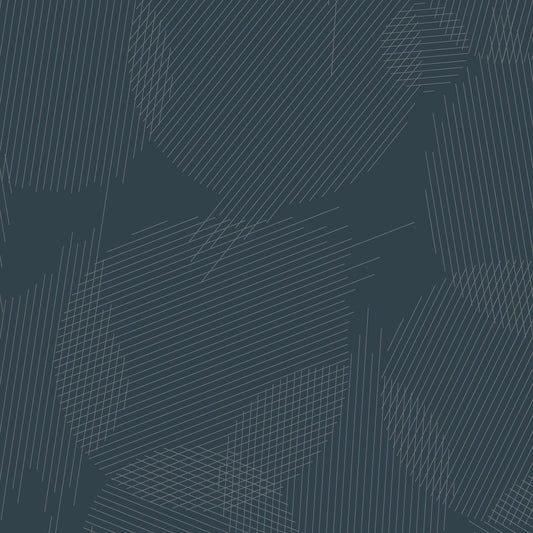 Giucy Giuce Andover Fabrics Ink Boundaries A-913-C Slate