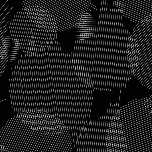 Giucy Giuce Andover Fabrics Ink Boundaries Onyx A-913-K