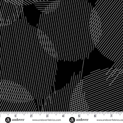 Giucy Giuce Andover Fabrics Ink Boundaries Onyx A-913-K