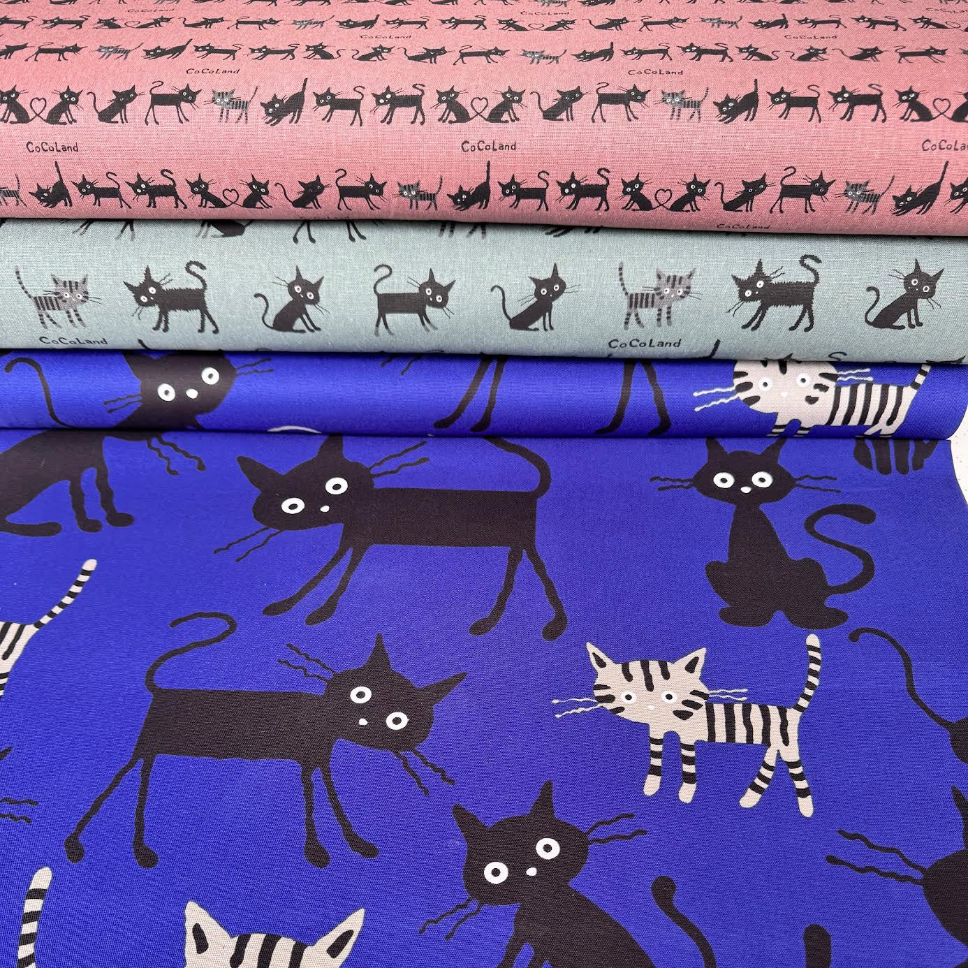 Hishiei CoCoLand Large Cats Blue CO-10002-12C