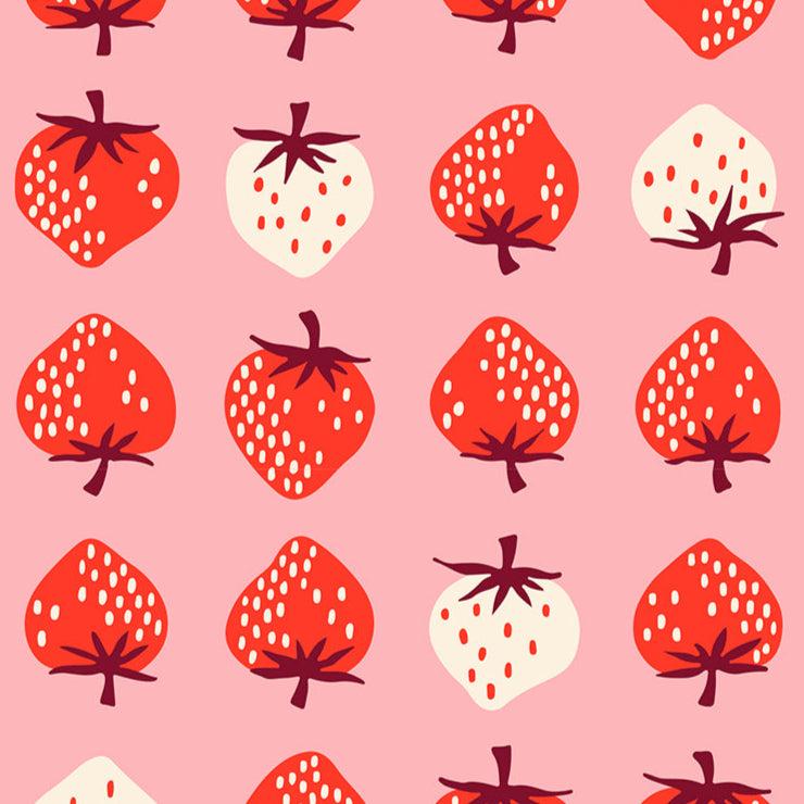 Kimberly_Kight_Ruby_Star_Society_Moda_Fabrics_Strawberry_RS3085_13 Balmy