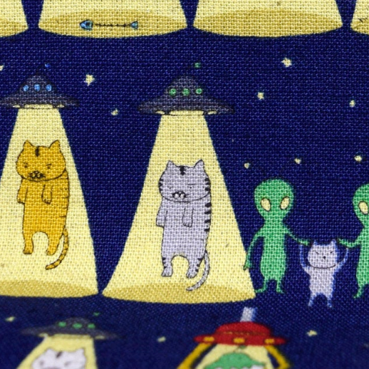 Kobayashi Catnapped Alien Abduction Canvas KTS719
