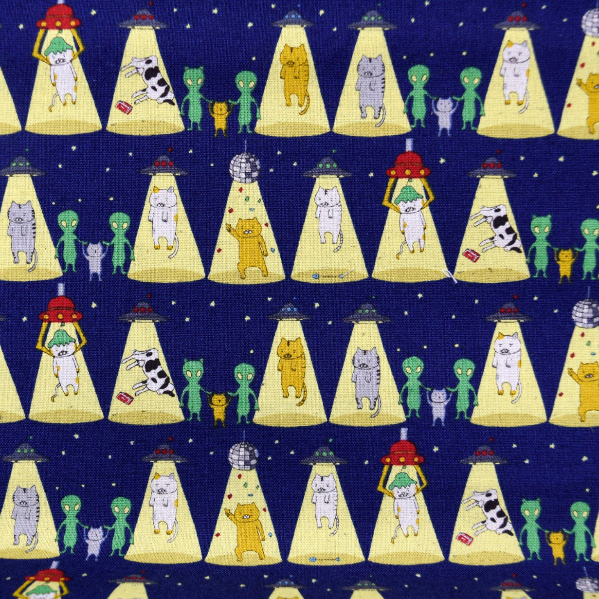Kobayashi Catnapped Alien Abduction Canvas KTS719