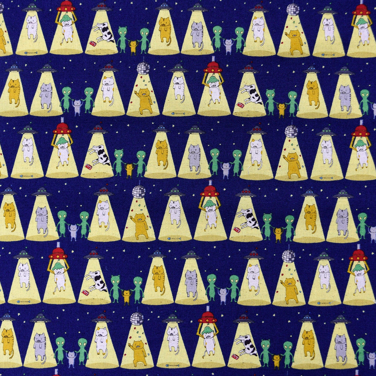 Kobayashi Catnapped Alien Abduction Canvas KTS719