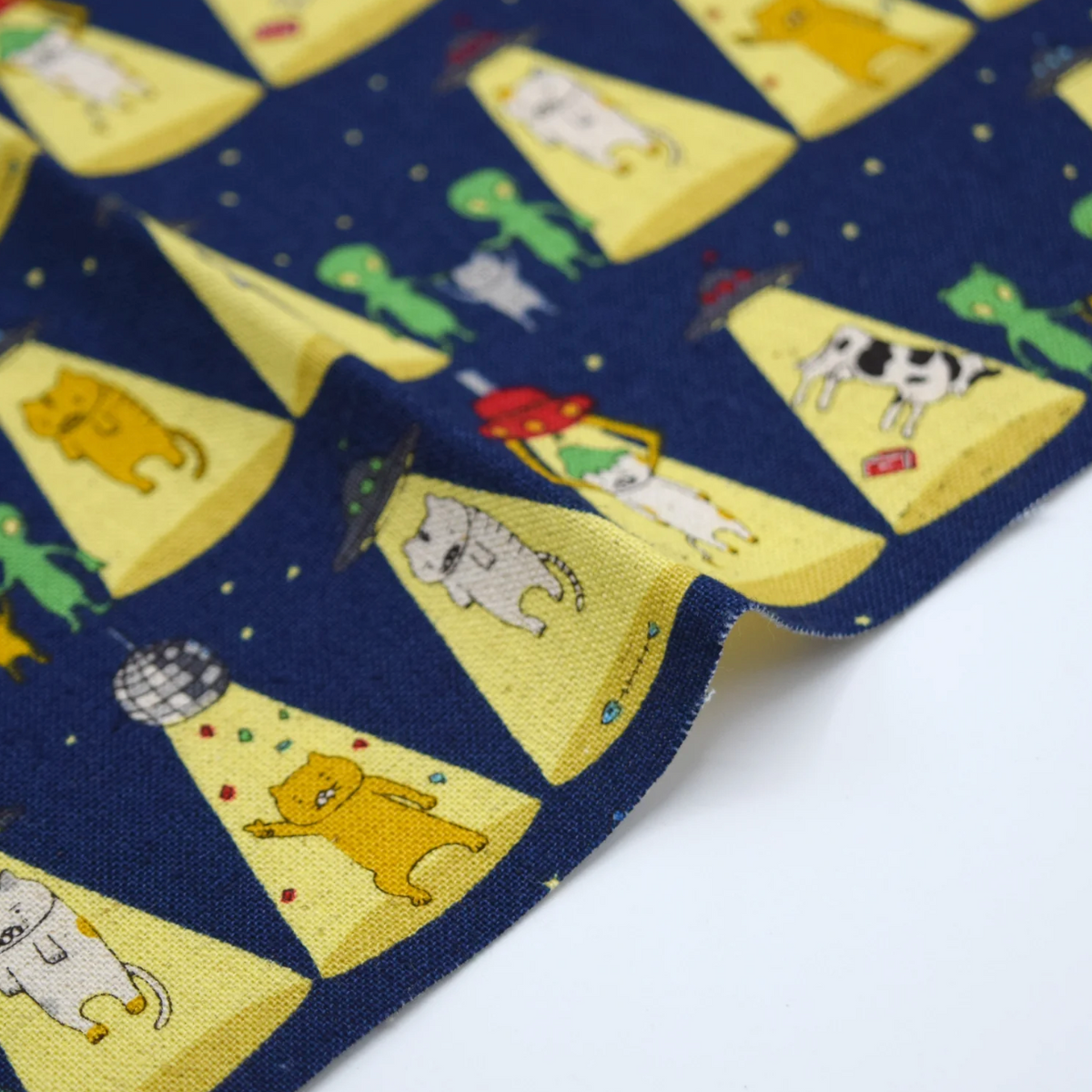 Kobayashi Catnapped Alien Abduction Canvas KTS719