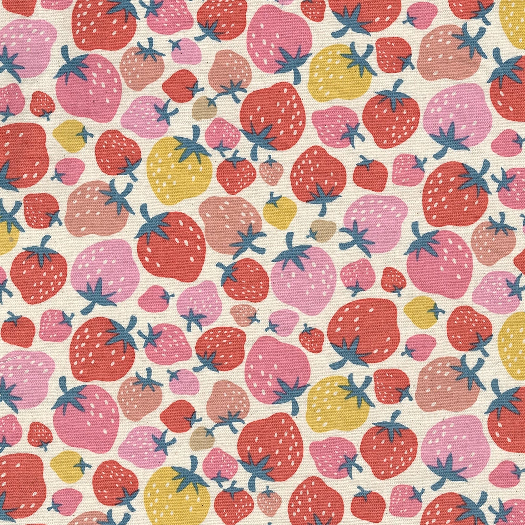 Kokka Japanese Import Fabrics Retro Charm Strawberries Oxford Ivory YKA-36010-2A
