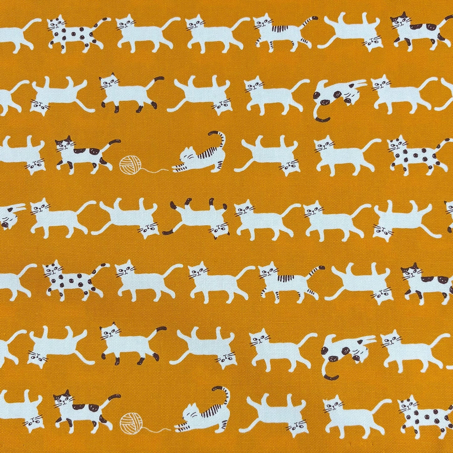 Kokka Japanese Import Fabrics Simply Palette Cats Golden Oxford YPA-69010-1C