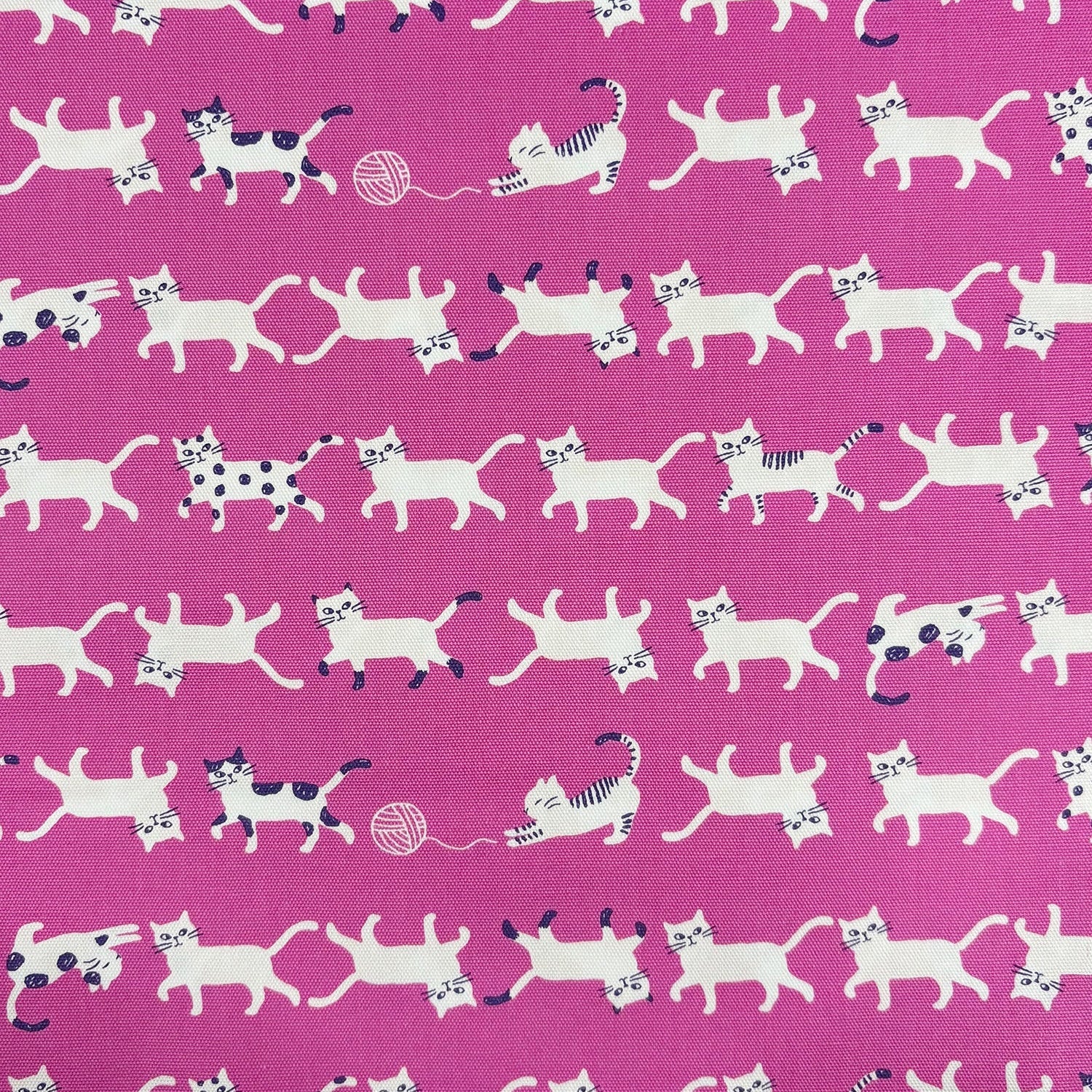 Kokka Japanese Import Fabrics Simply Palette Cats Oxford YPA-69010-1B