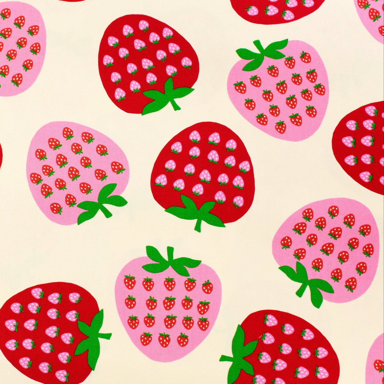 Koko Seki Japanese Import Strawberries Oxford 99222-2A Ivory