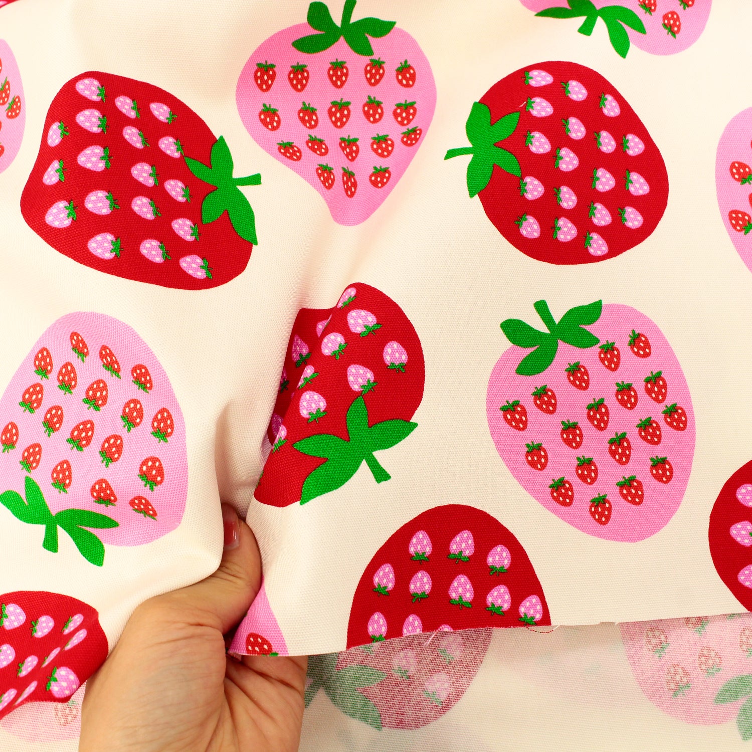 Koko Seki Japanese Import Strawberries Oxford 99222-2A Ivory